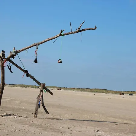 Poolside Paradise In - By Traum Fano