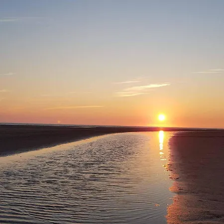 Poolside Paradise In - By Traum *