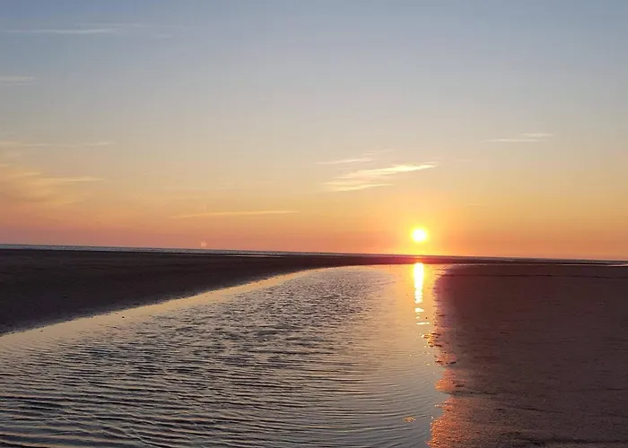 Poolside Paradise In - By Traum *